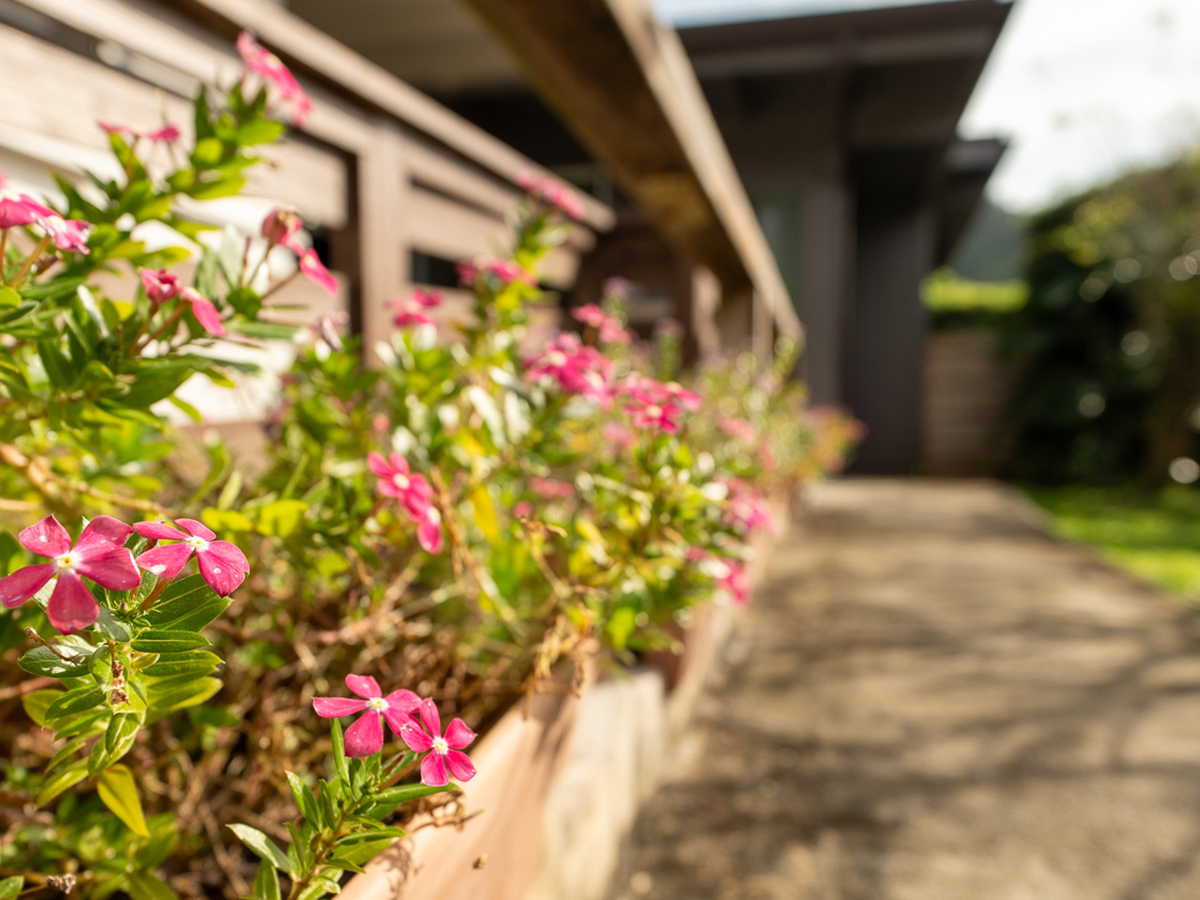 image of flowers at Valley Comfort Care Home.